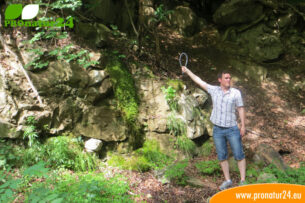 Geobiologie Seminar