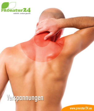 geobiologie-verspannungen_884