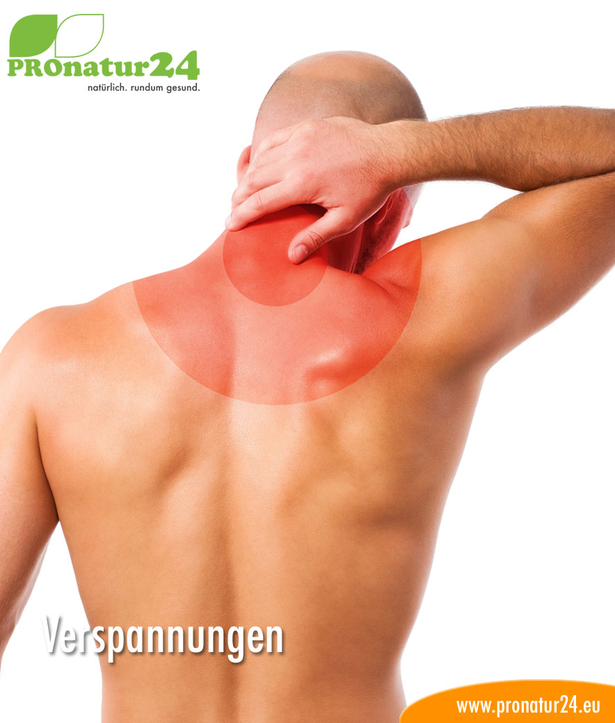 geobiologie-verspannungen_884