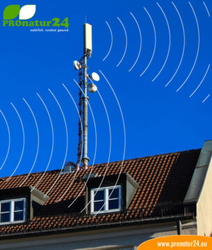Elektrosmog Fach Seminar