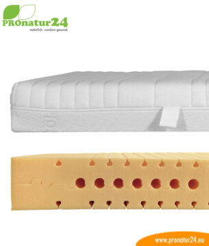 PHYSIOLOGA Standard Matratze