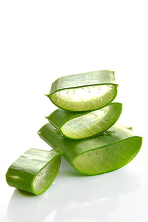 Top Pflege mit Aloe Vera