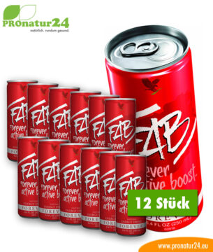 FAB active boost Energydrink mit Aloe Vera