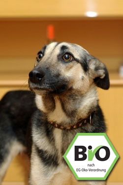 Nein? Kein BIO-Futter für Ihren Hund?