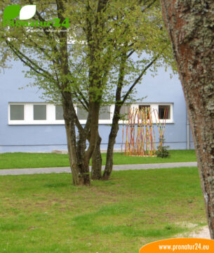 Seminar Brunnensuche der GEOVITAL Akademie
