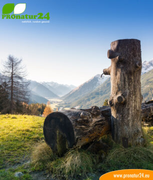 Seminar Brunnensuche der GEOVITAL Akademie