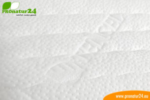 Ersatzbezug PHYSIOLOGA Therapiematratze