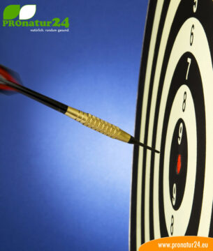Seminar Coaching bei Geovital