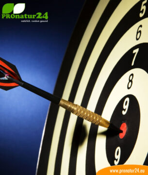 Seminar Coaching bei Geovital