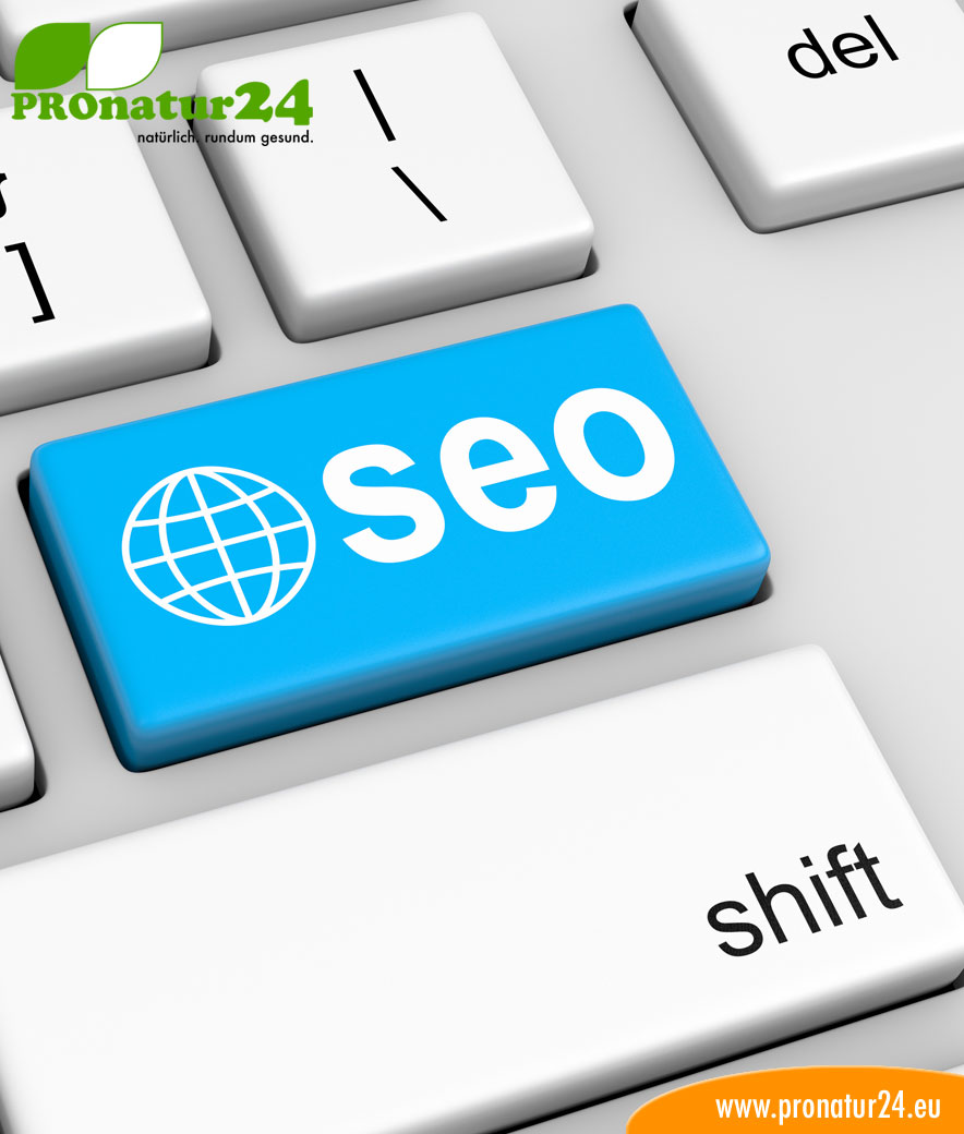 Seminar Homepage & SEO bei Geovital