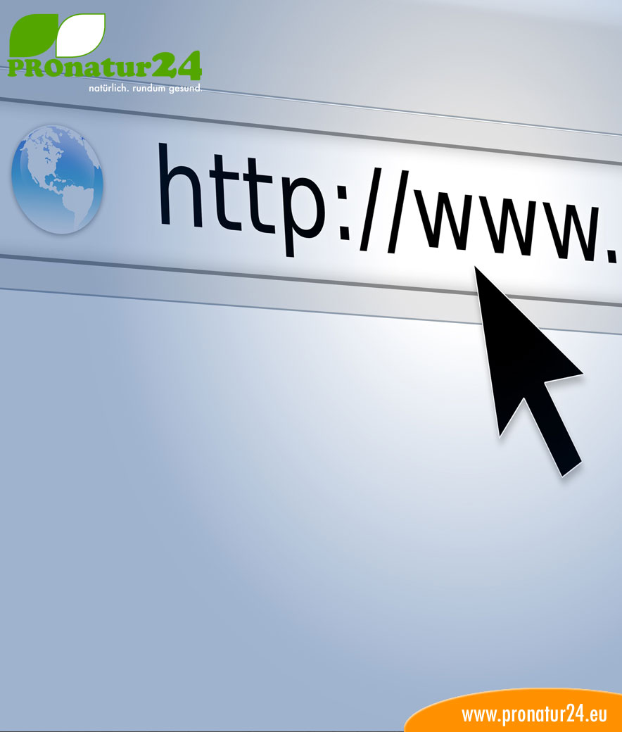 Seminar Homepage & SEO bei Geovital