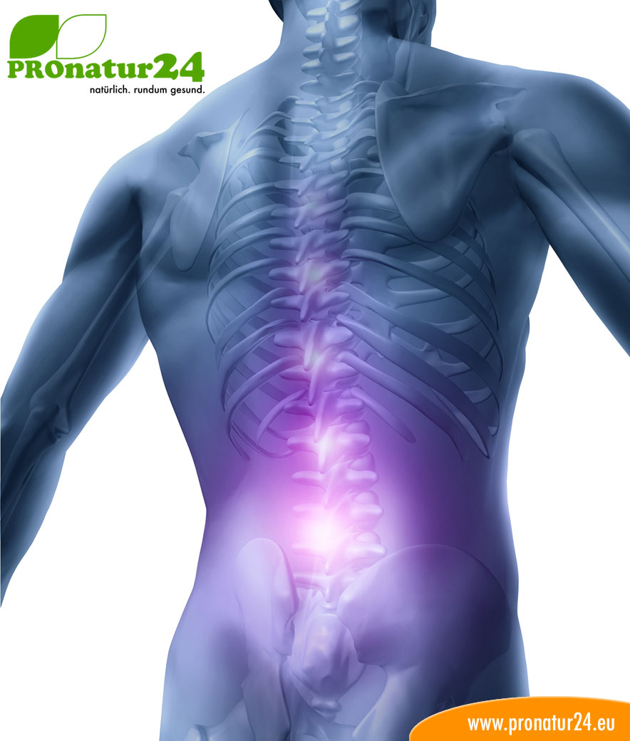 Seminar Orthopädie