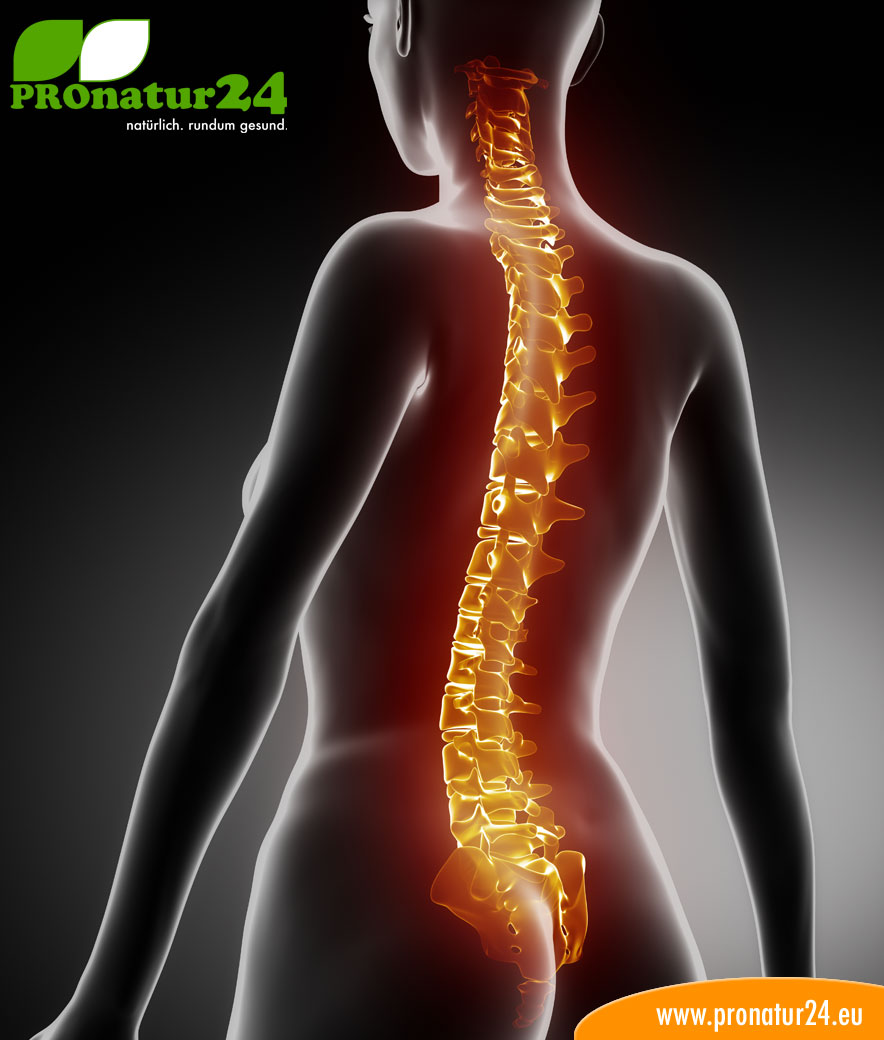 Seminar Orthopädie