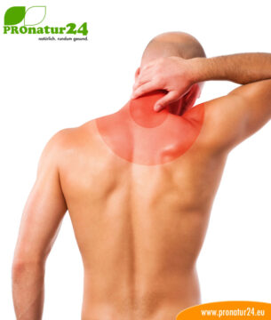 Seminar Orthopädie