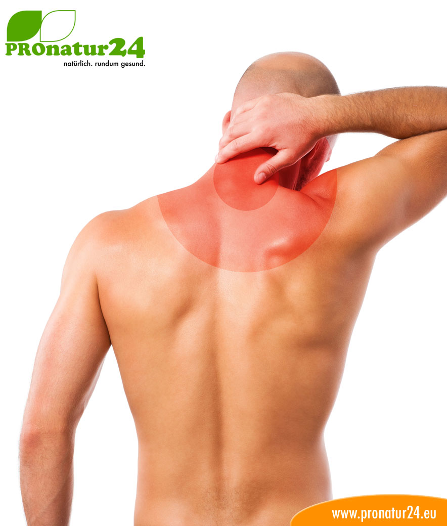 Seminar Orthopädie