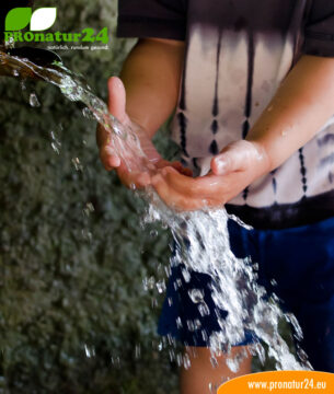 Wasser Seminar von GEOVITAL