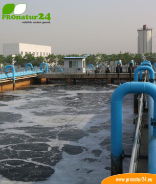 Wasser Seminar von GEOVITAL