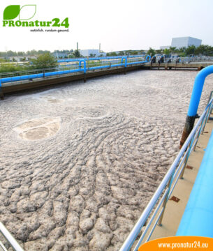 Wasser Seminar von GEOVITAL