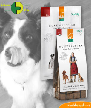 dafu BIO Hundesnacks Hundepralinen