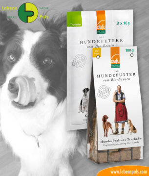 dafu BIO Hundesnacks Hundepralinen