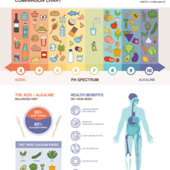 BASOFIT gegen Übersäuerung. Auflistung Lebenmittel nach sauer und basisch. BASOFIT gegen Übersäuerung. Auflistung Lebenmittel nach sauer und basisch.