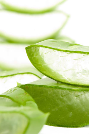 Aloe Vera nun auch unterwegs im Gepäck