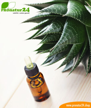 Essential Oils Carrier Oil Basisöl von Forever