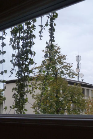 An vielen Orten sichbar - Funksender vor dem Fenster