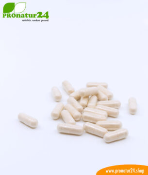 Lactoferrin, 120 mg, diätetisches Lebensmittel