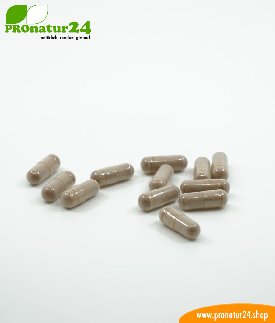 OPC Traubenkernextrakt hochdosiert mit jeweils 250 mg, 90 vegetarische KapselnOPC Traubenkernextrakt hochdosiert mit jeweils 250 mg, 90 vegetarische Kapseln