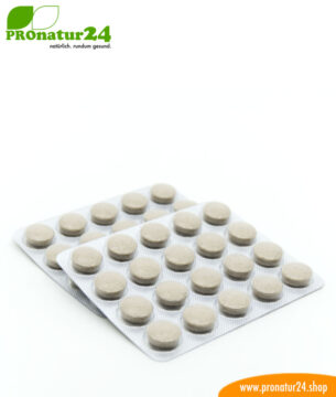 FITOLAX® (Фитолакс). Glutenfrei, vegan, ohne Gentechnik, GMP.