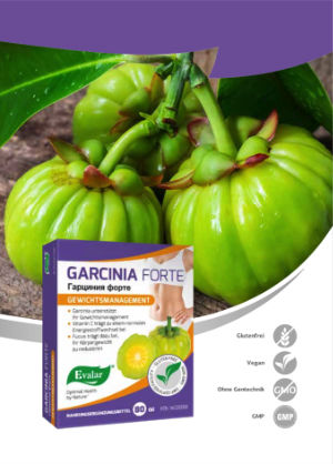 GARCINIA FORTE VON EVALAR (Гарциния форте). Glutenfrei, vegan, ohne Gentechnik, GMP. GARCINIA FORTE VON EVALAR (Гарциния форте). Glutenfrei, vegan, ohne Gentechnik, GMP.