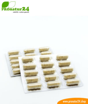 HEPATRIN™ (Гепатрин). Glutenfrei, vegan, ohne Gentechnik, GMP.