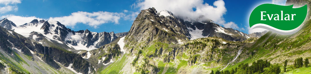 Wertvolle Nahrungsergänzungen von Evalar. Evalar weiß um die Wirkung von Kräutern und baut auf diese Kraft der Natur, direkt aus dem Altei in Südsibirien.