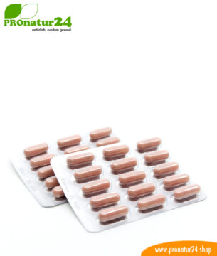 TRIFOLIUM KOMPLEX (Атерофит БИО). Glutenfrei, ohne Gentechnik, GMP.