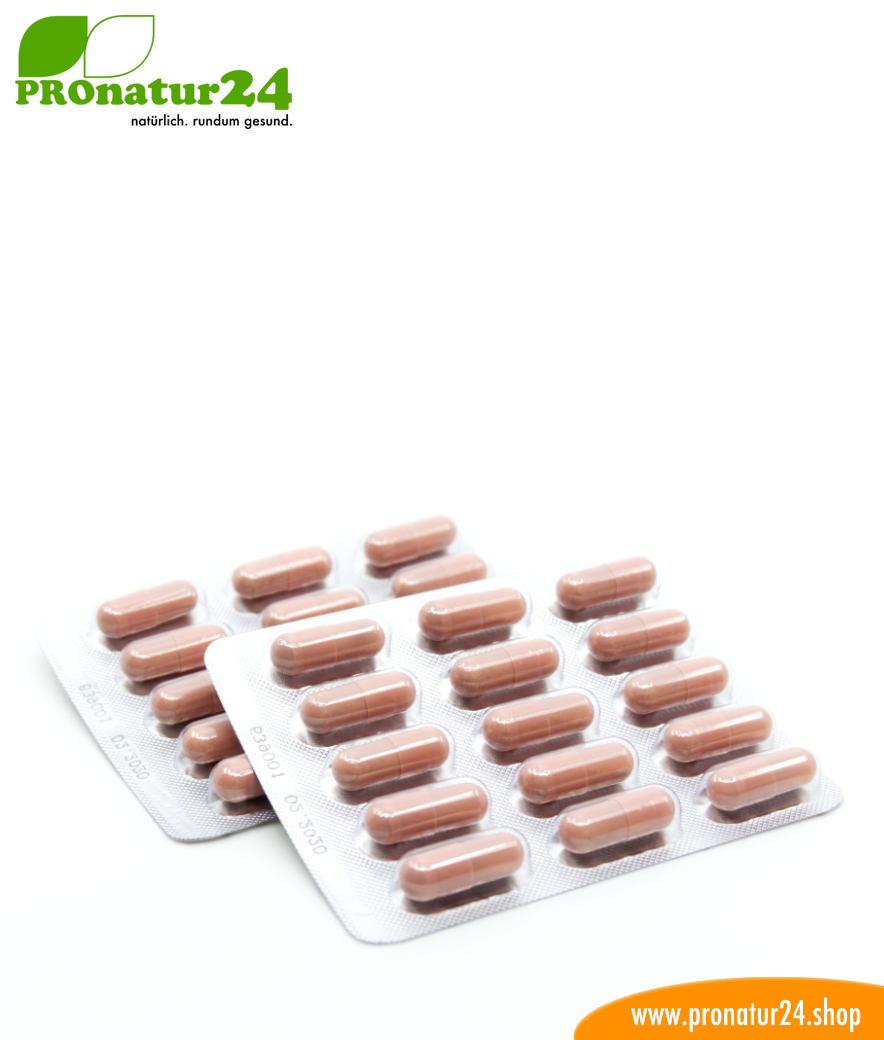 TRIFOLIUM KOMPLEX (Атерофит БИО). Glutenfrei, ohne Gentechnik, GMP.