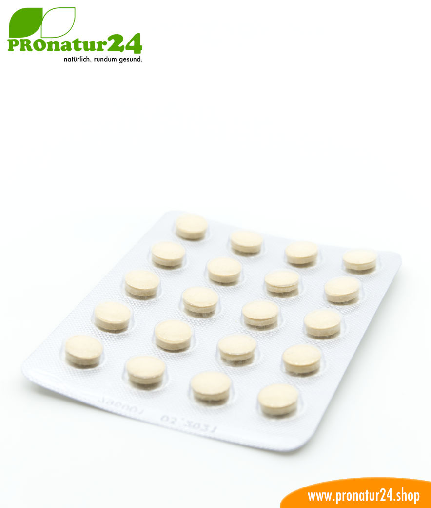 MARIENDISTEL EXTRAKT VON EVALAR (Расторопши экстракт). Glutenfrei, vegan, ohne Gentechnik, GMP.