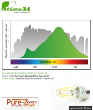 LED Leuchtmittel Filament Pure-Z-Retro BIO LICHT, klar, E27, 8,2 Watt, 970 Lumen, warmweiß (2700 K). Feedbild.
