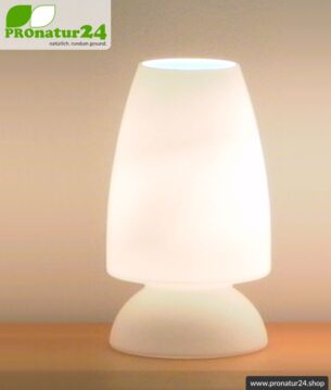 Geschirmte Glasleuchte in elegantem Stil, vollständig aus mundgeblasenem Opalglas, 27 cm Höhe, E27 Fassung, 60 Watt