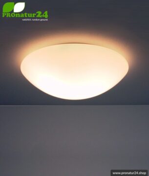 Geschirmte Deckenleuchte, mundgeblasenes Opalglas, 32 cm, E27 Fassung, 60 Watt