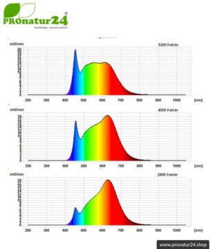 LED Lampe Vollspektrum DuoLight. Natur-nah flimmerfreies Licht mit 12 Watt (wie 100 Watt). 5200 K, 4000 K + 2900 K. 1000 Lumen. E27.