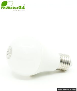 LED Vollspektrum Tageslichtlampe. Natur-nah flimmerfreies Licht mit 8 Watt (heller als 60 Watt). 5200 Kelvin. 560 Lumen. E27.