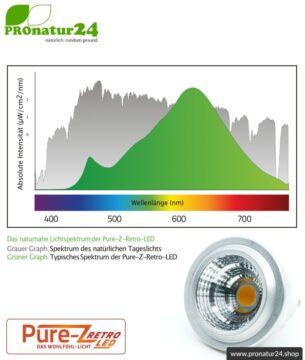 LED SPOT Leuchtmittel Pure-Z-Retro BIO LICHT, klar, GU10, 5 Watt, 380 Lumen, warmweiß (2700 K). Entspricht 40 Watt Lichtleistung.