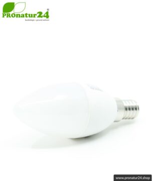 4,5 Watt LED Vollspektrum Tageslichtlampe Kerze. Natur-nah flimmerfreies Licht. Hell wie 45 Watt! 5200 Kelvin. 350 Lumen. E14 Sockel.