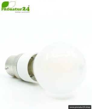 Universaler Adapter E14 Sockel auf B22 Fassung