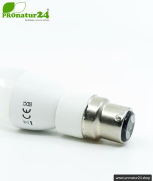 Universaler Adapter E14 Sockel auf B22 Fassung