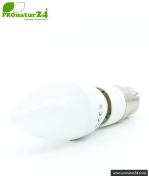 Universaler Adapter E14 Sockel auf B22 Fassung