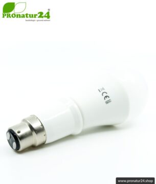 Universaler Adapter E27 Sockel (Schraubengewinde) auf B22 Fassung
