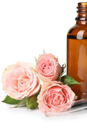 Wertvollstes Rosenöl im Haar & Körper Shampoo rose Wertvollstes Rosenöl im Haar & Körper Shampoo rose