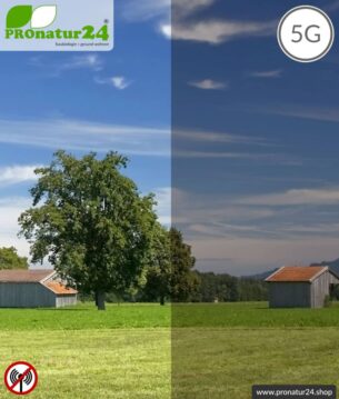 Abschirmende Fensterfolie RDF25 | HF Schirmdämpfung gegen Elektrosmog bis 34 dB | 25% Lichtdurchlässigkeit. Wirkungsvoll gegen 5G!